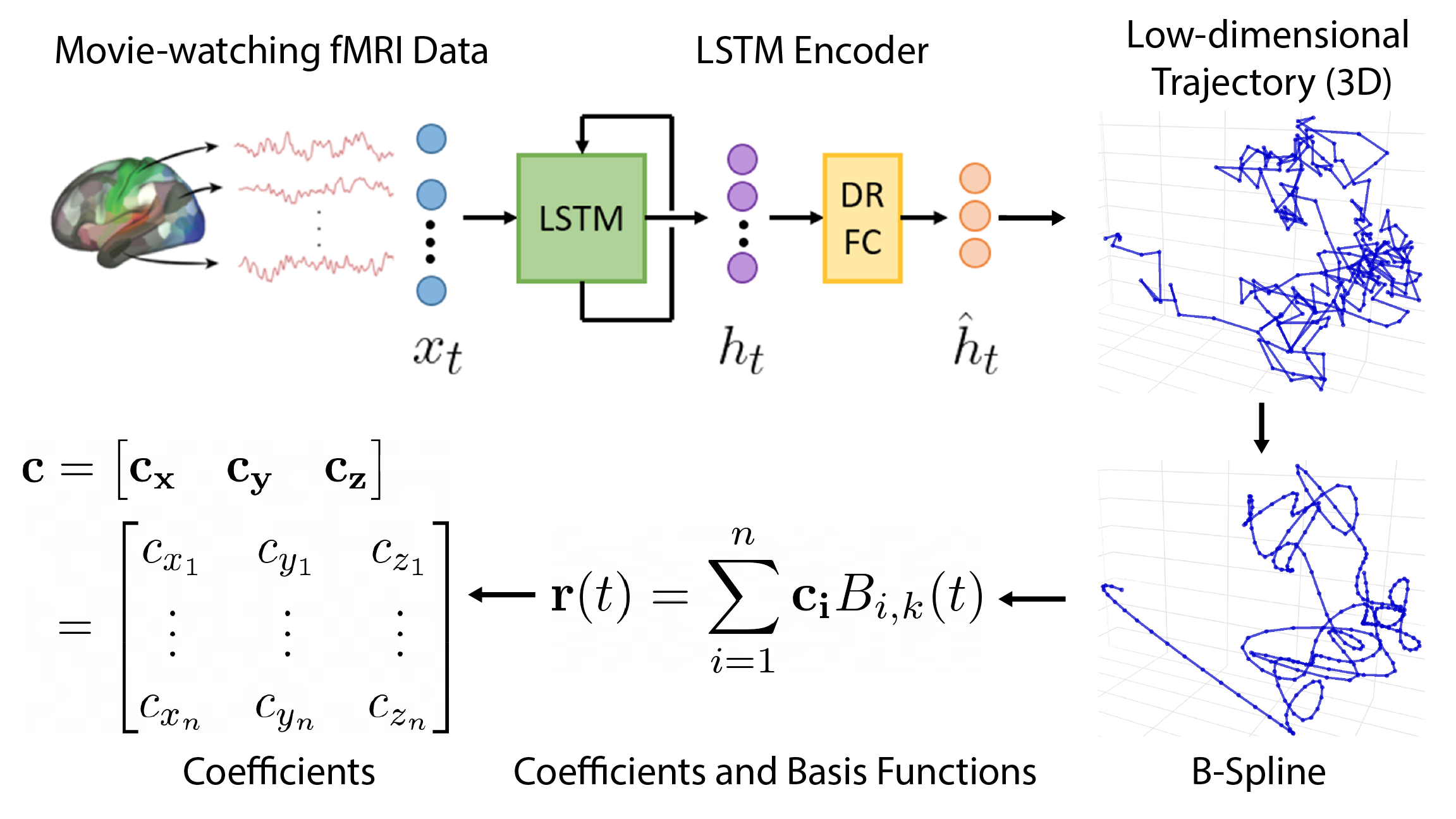 coefficients